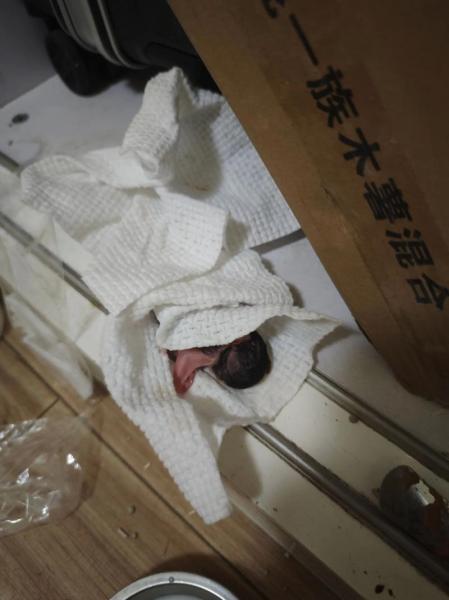 曼联传奇4个月大的外孙不幸夭折，因聘请没有资质的护工导致